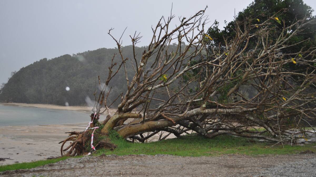 More than 2000 without power as storm whips Mid North Coast