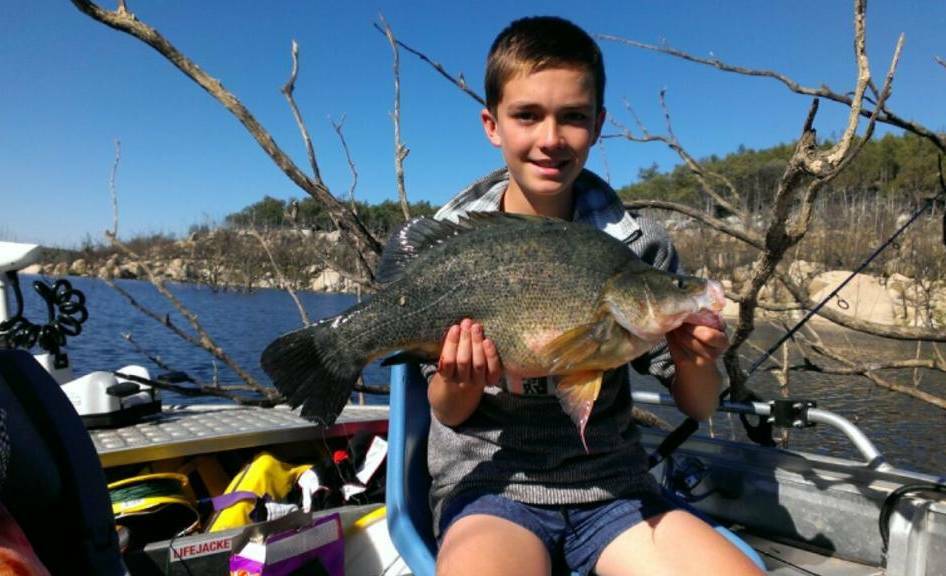 GOOD CATCH: Angus Lindsay with a 57 centimetre yellow belly. Photo: Inverell Times