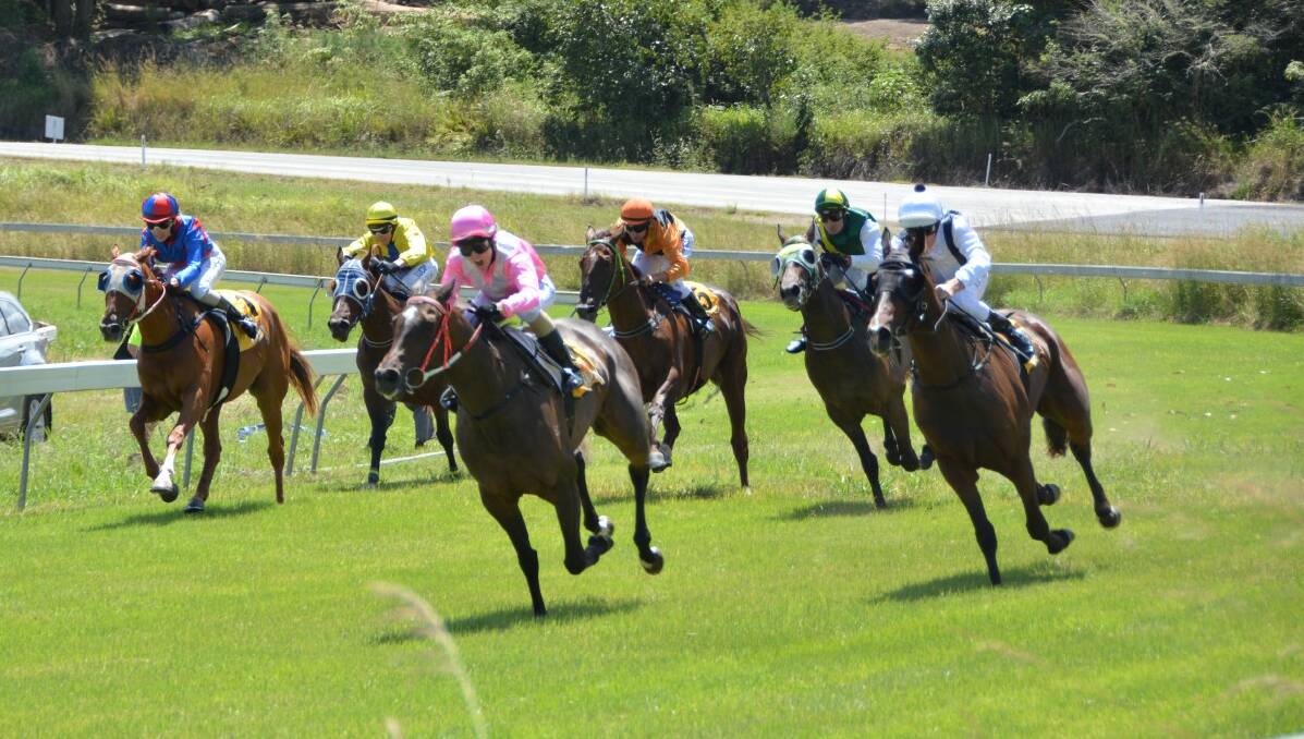 Gallop up for Bello Cup race meeting