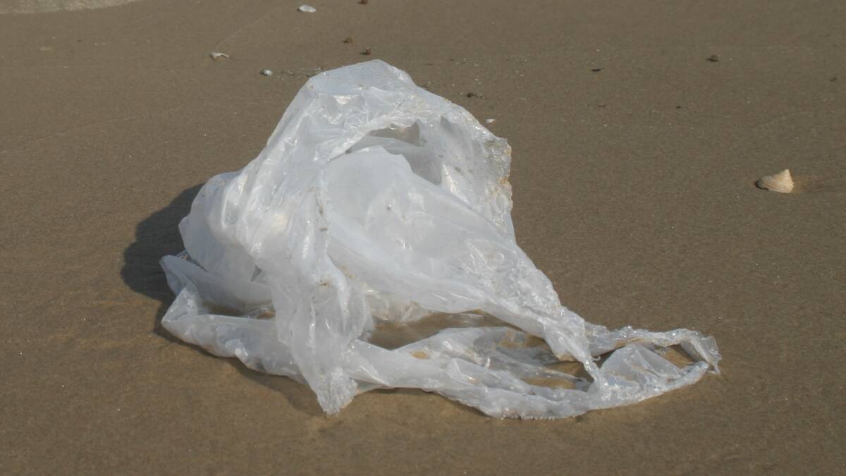 Nambucca Shire Council are pushing for single-use plastic bags to be banned, or to only make them available by paying a fee