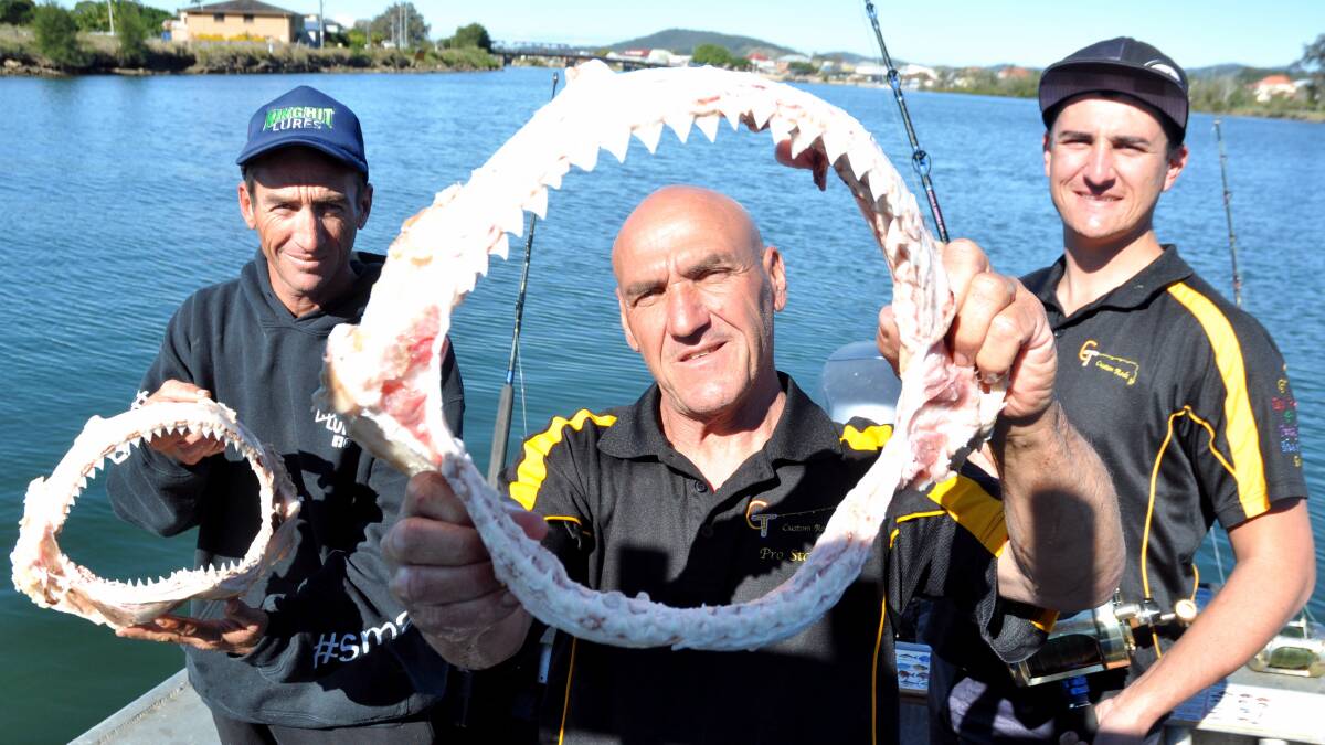 Michael, Tony and Jason Didio with some of the Bull shark jaws they've collected in the past few weeks. Tony is concerned by the number of Bulls he's spotted in the Nambucca River recently.