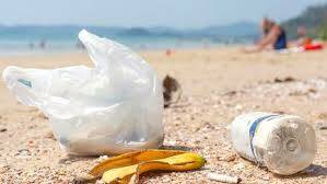 A Plastic Ocean: marine debris special screening