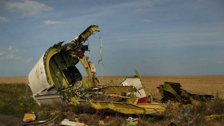 The rear fuselage of flight MH17 at the crash site in the fields outside the village of Grabovka in the self proclaimed Donetsk Republic, Ukraine. Photo: Kate Geraghty