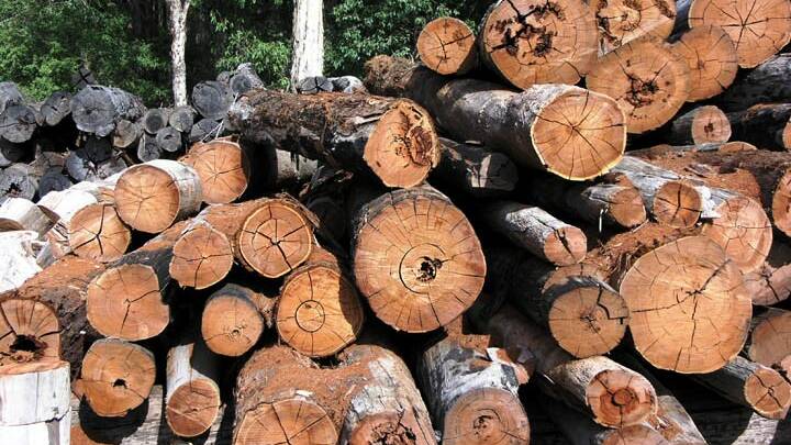 Warrell Creek: sawmill fined for out-of-hours woodchipping
