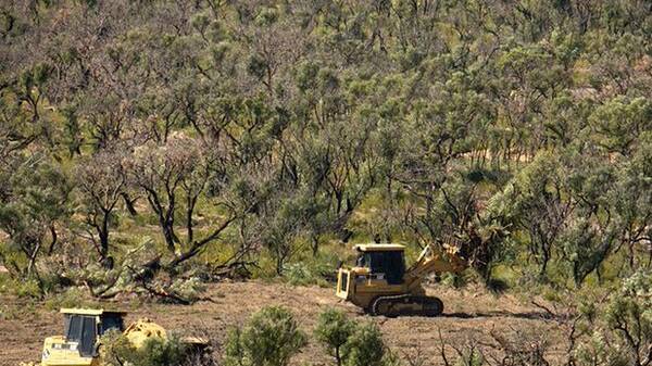 NSW land-clearing law will let farmers clear native vegetation with no approval