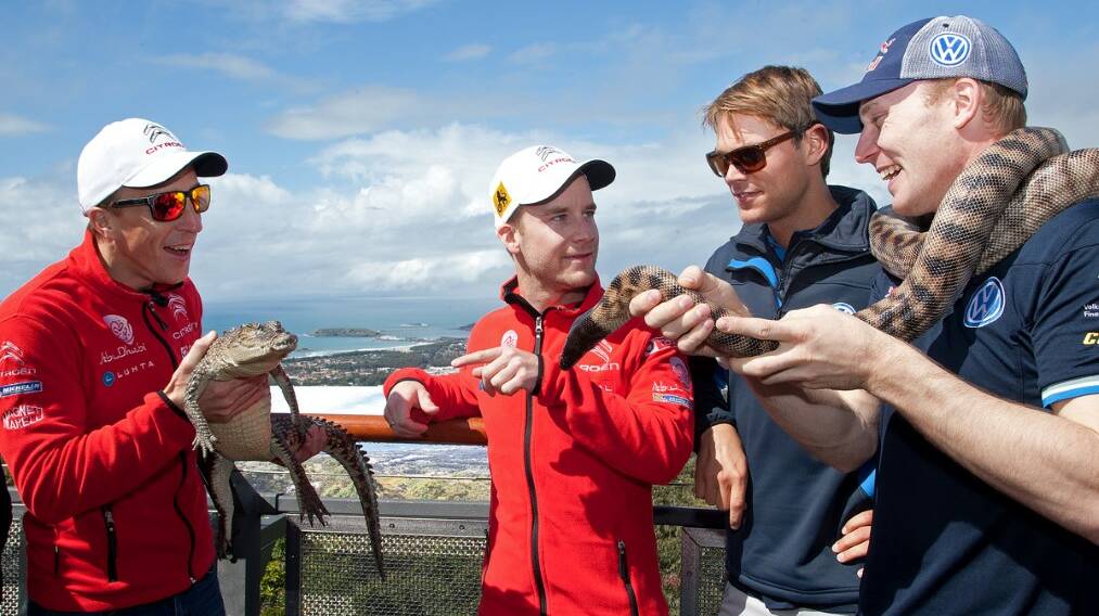 Crocodile-wielding Kris Meeke taunts Jari-Matti Latvala, holding a python, while Mads Ostberg and Andreas Mikkelsen look on.
Photo: Red Hot Shotz
