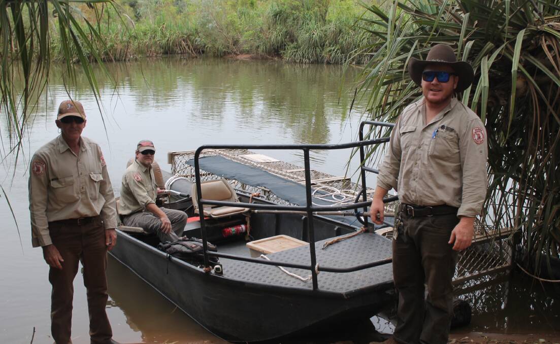 CROC SNARE: Rangers John Burke, Chris Heydon and Abbro Woolnough setting up some of the first traps as wet season halts. 