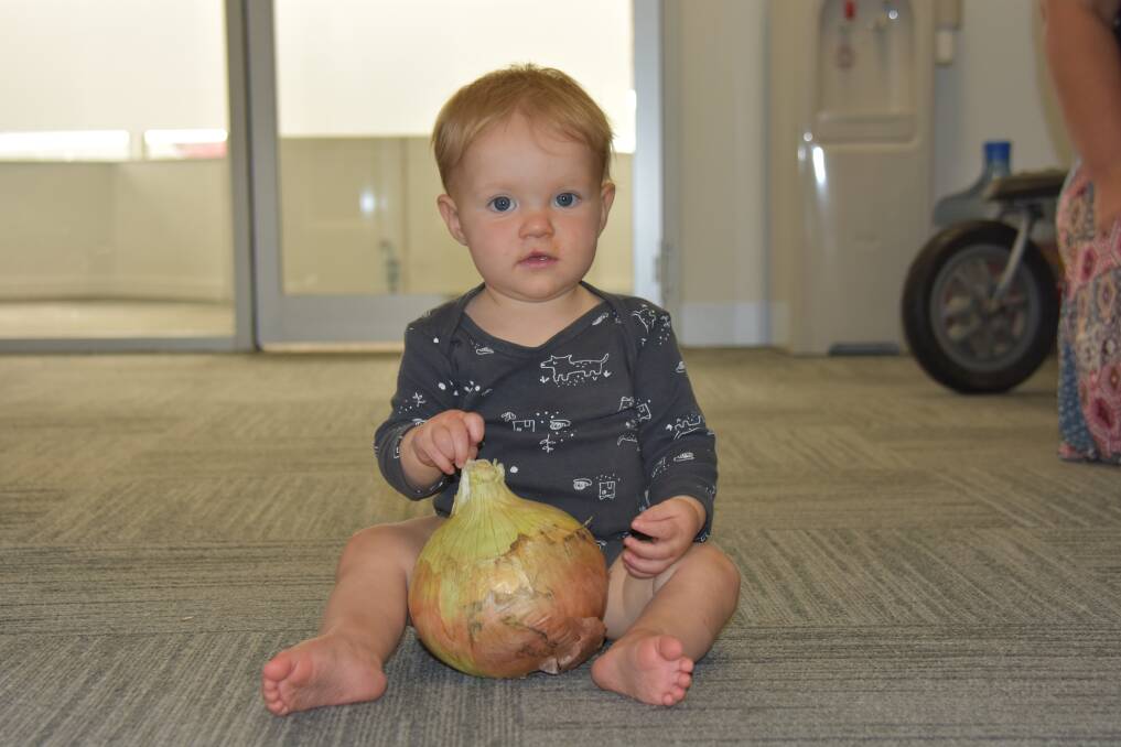 Nambucca toddler Phoenix can't quite fathom the size of this elephantine onion