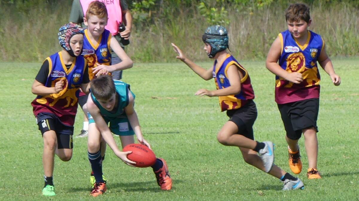 The Nambucca Valley Lions have been a juggernaut this season, shredding all they have met. But now it's the business end as the semi-finals get underway