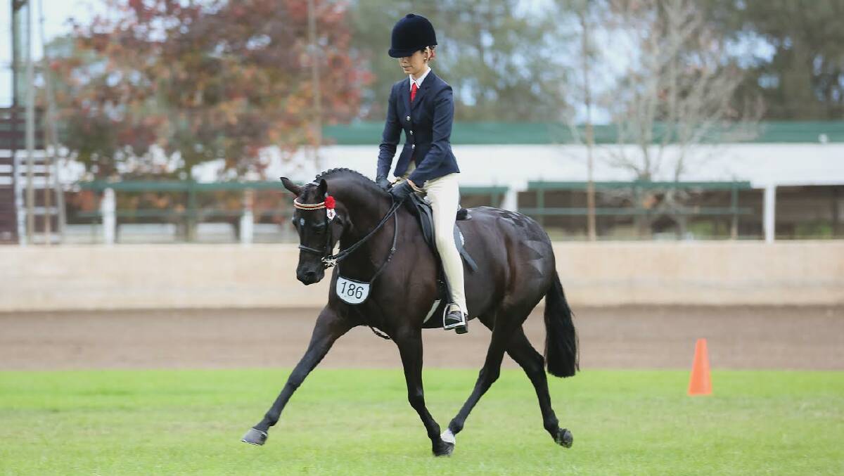 RIDING HIGH: Mackenzie Peterkin has had a stellar 2017 at shows large and small