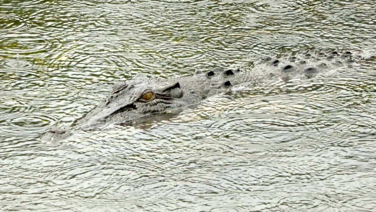 rivers crocs