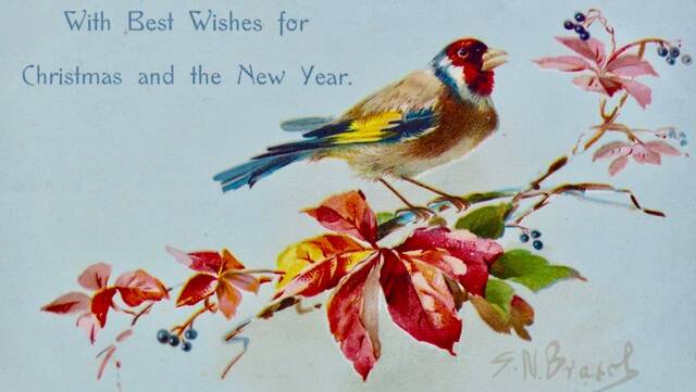 Seasons greetings from Christmas past: vintage cards
