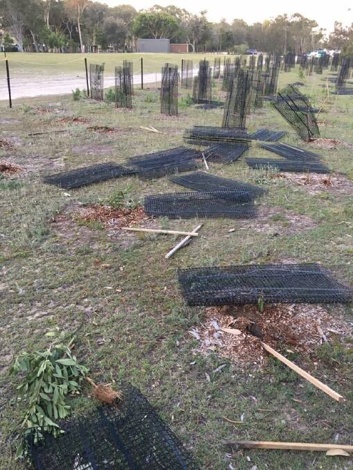 Anger as vandals destroy trees