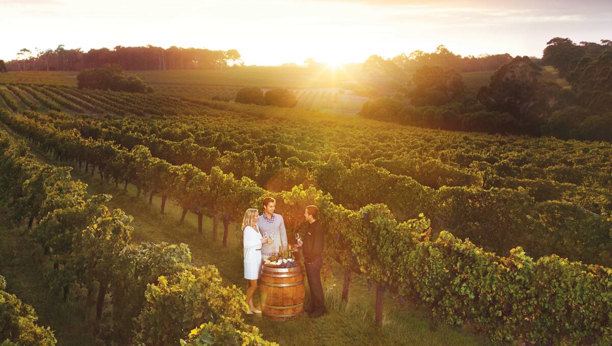 From tastings to whale-watching - four fabulous forays into WA's top wine region.
