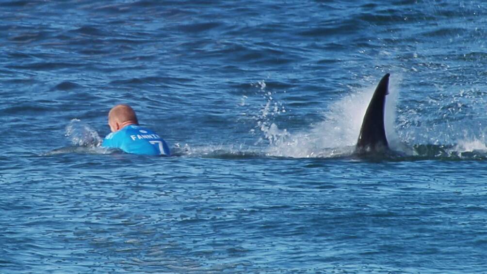 Heart-stopping: Mick Fanning came face to face with a hungry great white during a competition at Jeffrey's Bay in South Africa. Photo: WSL