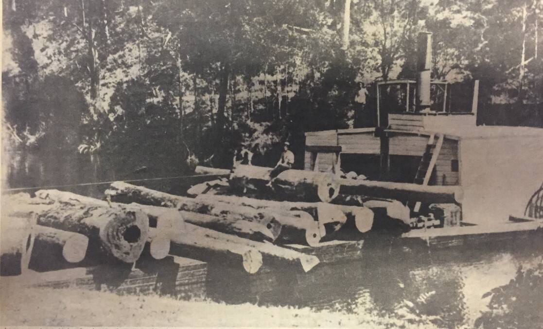 A steam drogher transporting logs to Macksville along Warrell Creek