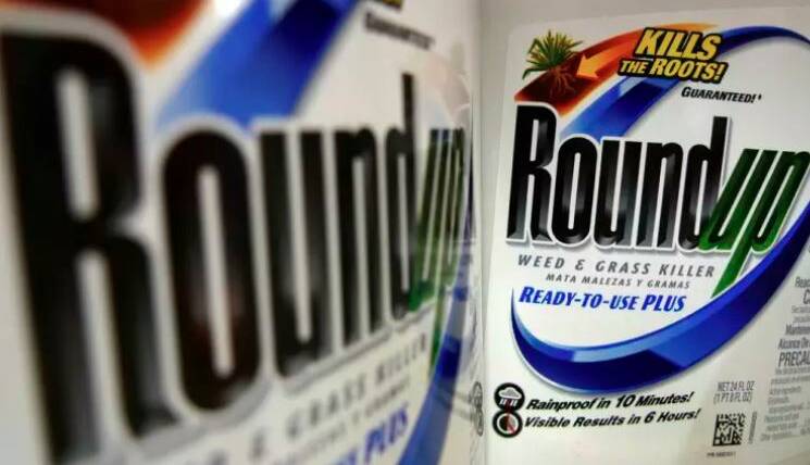 Australia's Cancer Council has urged Roundup users to be careful, but federal regulators say there is nothing to worry about. Glyphosate is the active chemical in RoundUp and around 500 other products sold in Australia.
