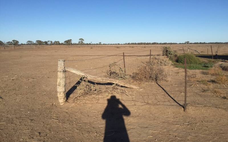 Dry as dry can be out Walgett way. Photo by Lucy Shepherd
