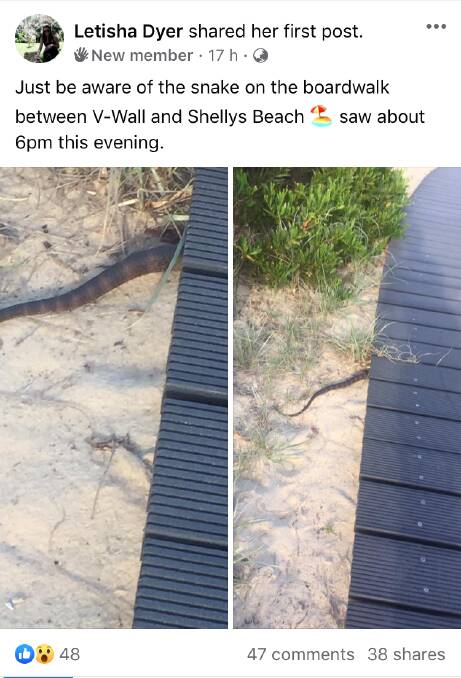 Screenshot of post made by Letisha Dyer yesterday evening alerting people to the presence of the snake