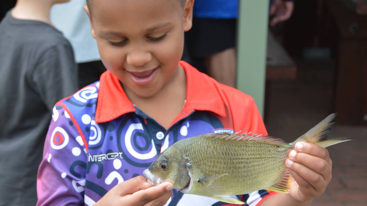 Dollars promised for fishing upgrades in Nambucca
