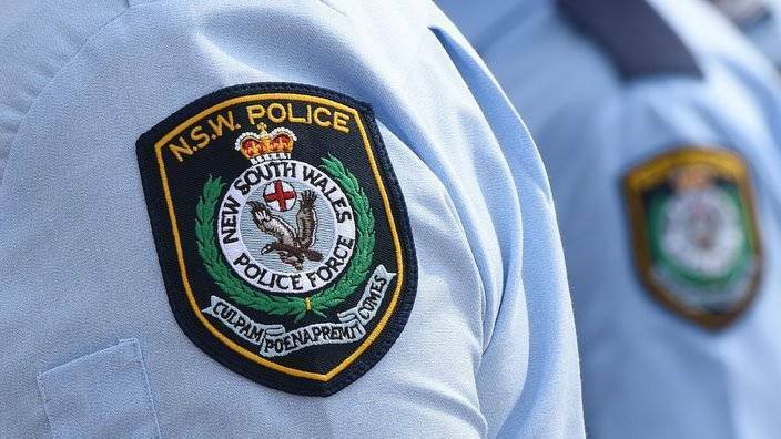 Cannabis plants allegedly seized in Nambucca Heads