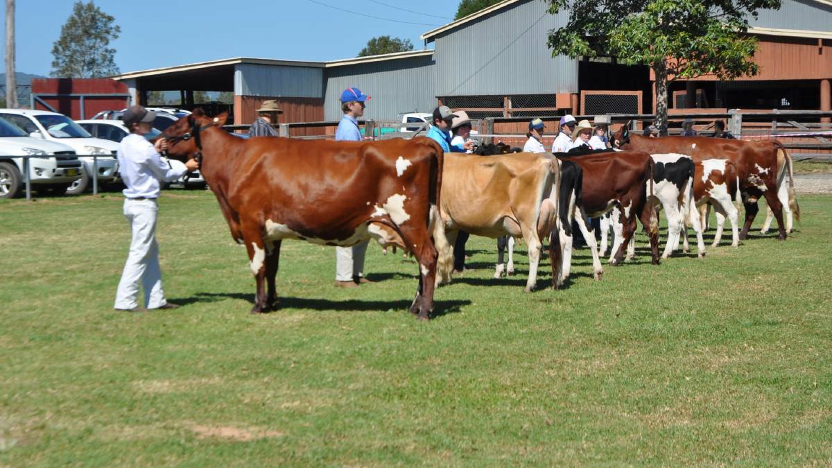 The Macksville Show will go on ... in April
