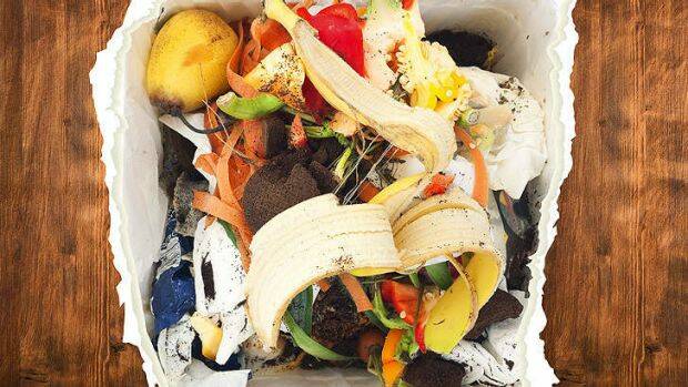 Nambucca Valley signs up to reduce food waste