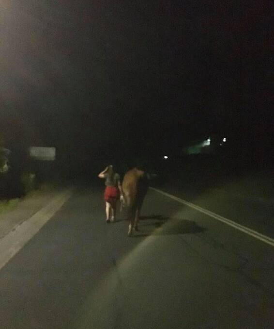 Abi and Geordie plodding their way through Bowraville at midnight.