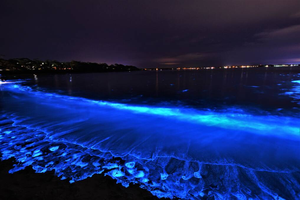BRILLIANT DISPLAY: The bioluminescence is back in Jervis Bay putting on an incredible show, thrilling local residents. This is at Barfluer Beach. Photo: Dannie and Matt Connolly Photography