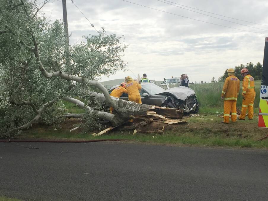 TREE DOWN: Emergency services help free a couple from a wreckage after an incident in Burrumbeet caused their Mercades to plow through a tree on Rememberance Drive.