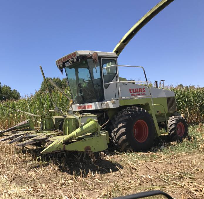 NEW TRACTOR: The purchase of a self propelled forage harvester puts Stewart’s business way ahead of others. The forage harvester cuts grass, corn and sorghum and features a 4.5m kemper style front plus a 2.2m pick up front.