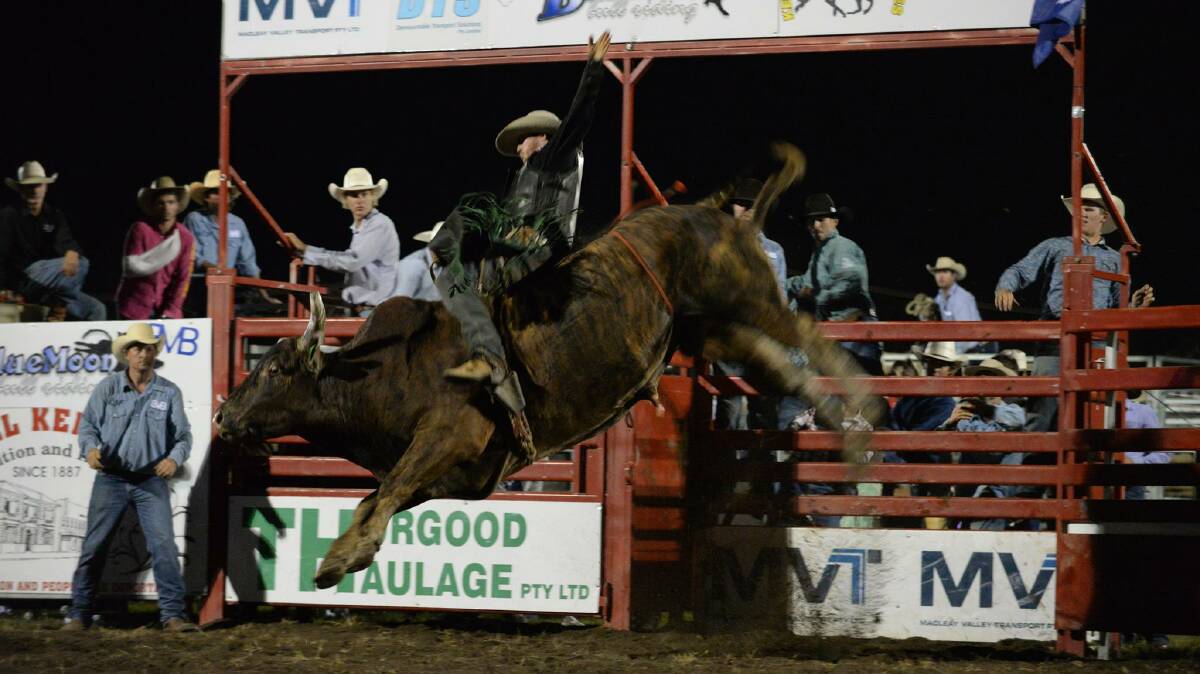 November 25: Blue Moon Bullriding is back - gates open 4pm at Kempsey Showground. See action like Australian Champion Wade McCarthy takes on "Grasshopper" in the 2015 Challenge of the Champion's. Photo: Mark Farley
