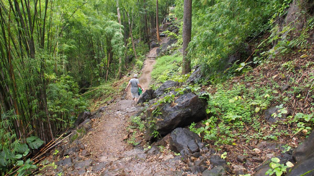 NOW SERENE: The track down to Hellfire Pass has been reclaimed from the jungle.