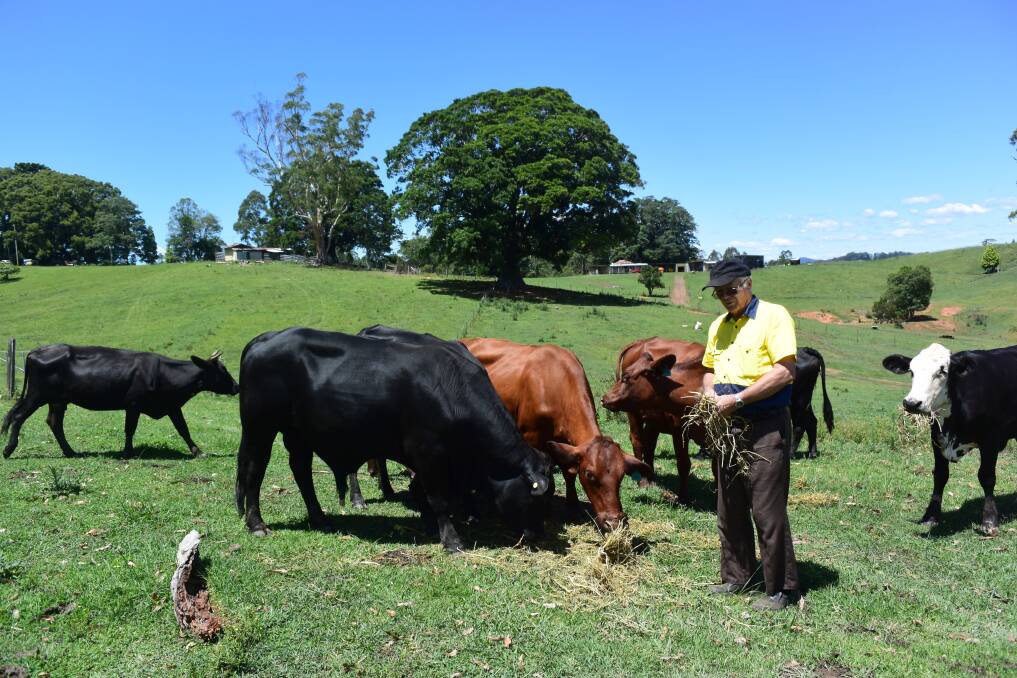John Northcott is devastated by the loss of his cattle, which he says are like pets