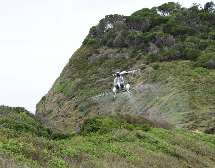 Annual aerial weed spraying this month aims at combating bitou bush on Stuarts Point beach.