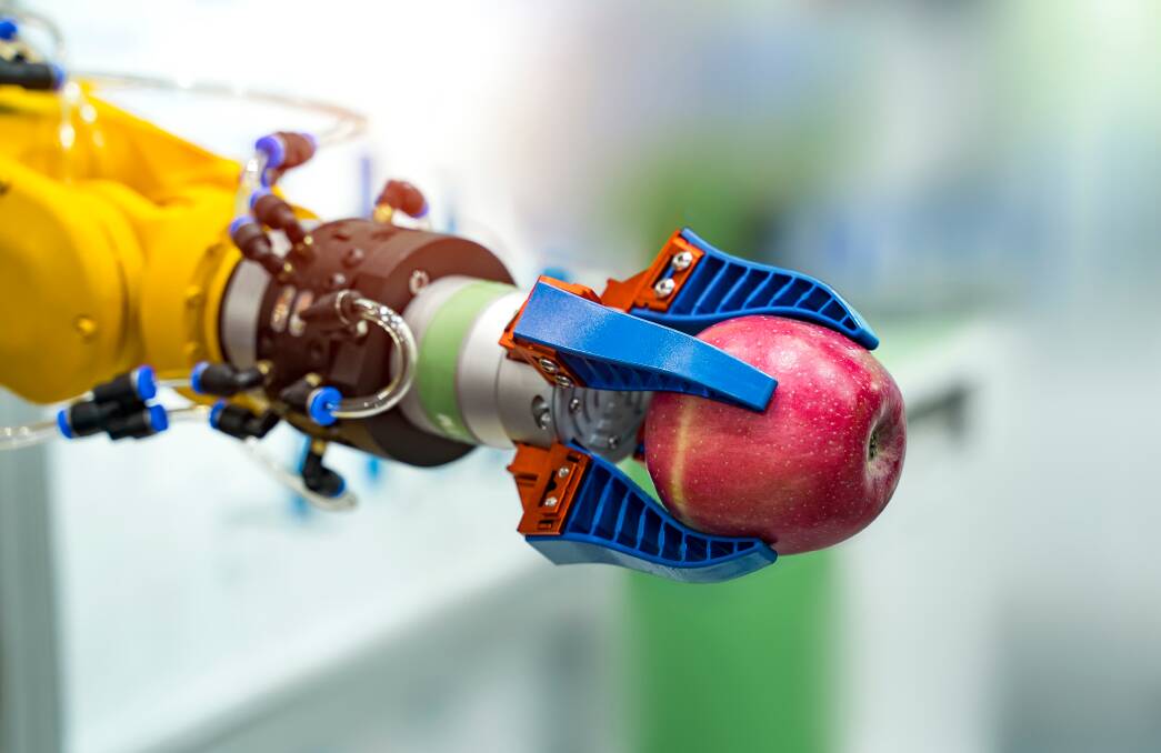 A fruit picking robot named Clive (this is not a picture of Clive) is getting to work this year. Picture: Shutterstock.
