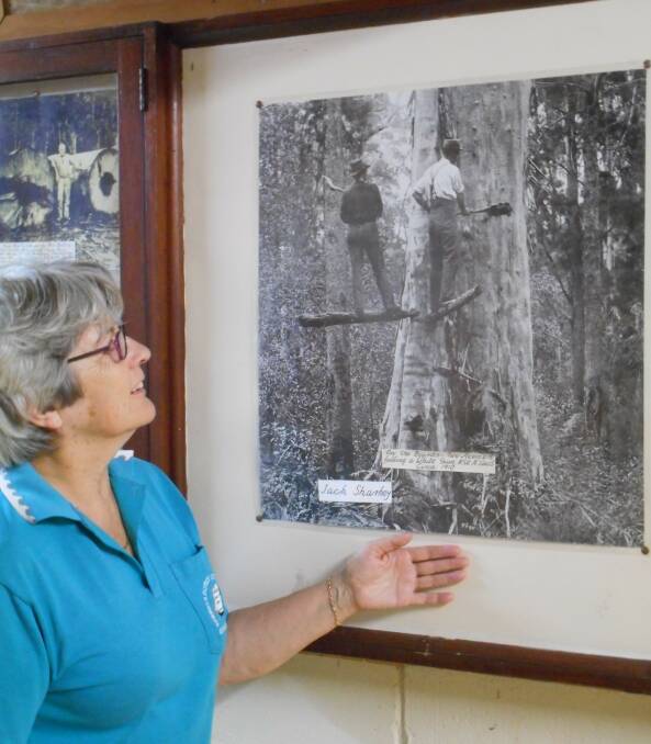 History enthusiast Rachel Burns admire a photo of timber cutters from yesteryear.