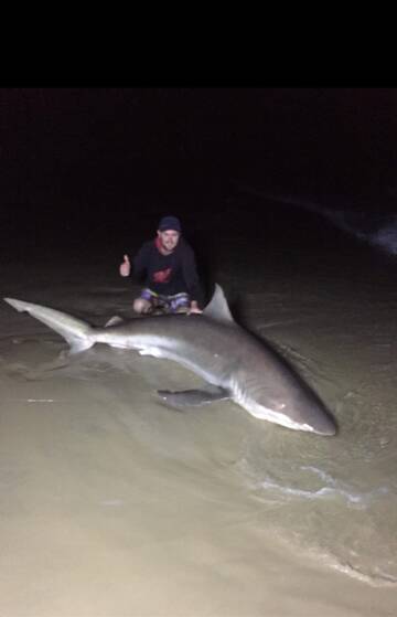 CATCH AND RELEASE: Bob Gurner caught this 200 kilogram, 3.5 metre, Dusky Whaler Shark off Scotts Head. Photo supplied. 