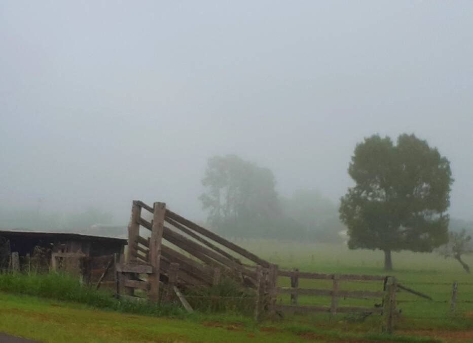 Scenes of fog in and around Macksville this morning