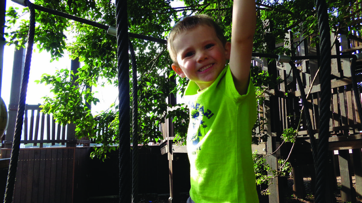 Missing: William Tyrrell went missing from the front yard of his grandmother's home in Kendall in 2014.
