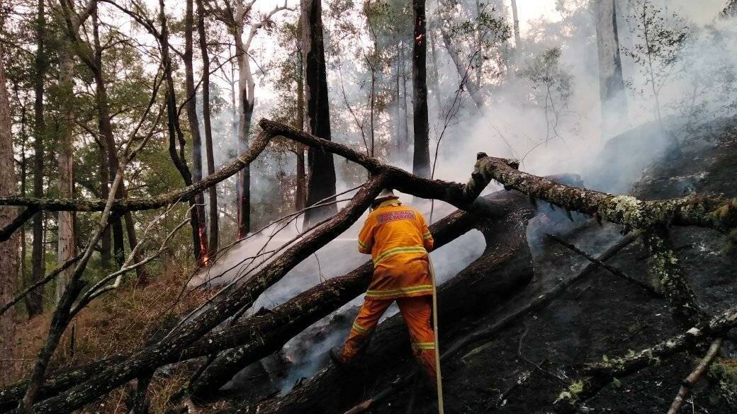 A member of Valla Rural Fire Brigade working on the fire at Congarinni. Photo: Clare Warner