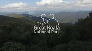 The Great Koala National Park: the Big Idea with a Big Future