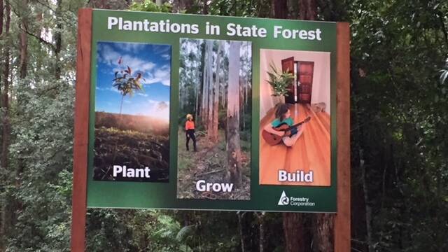 FORESTS NSW SIGNAGE: This one is on Gleniffer Rd in the Bellingen Shire