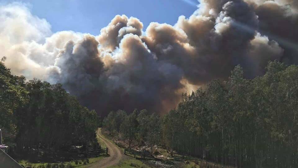 Submissions open for the NSW Bushfire Inquiry