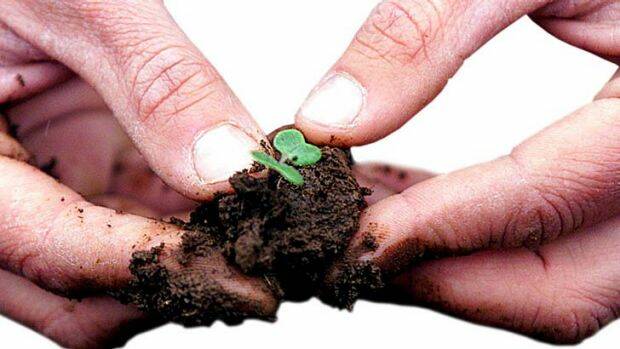 Healthy soils, means healthy farms, means healthy Australians
