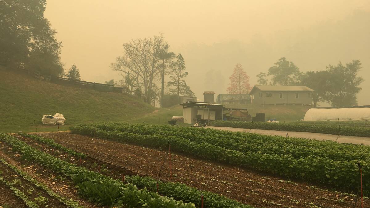 How North Arm Farms helped fill hungry mouths during the fires: photos