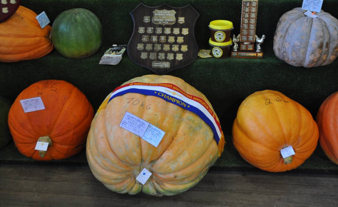 ALL TIME FAVOURITE: The biggest pumpkin ... 70kg!