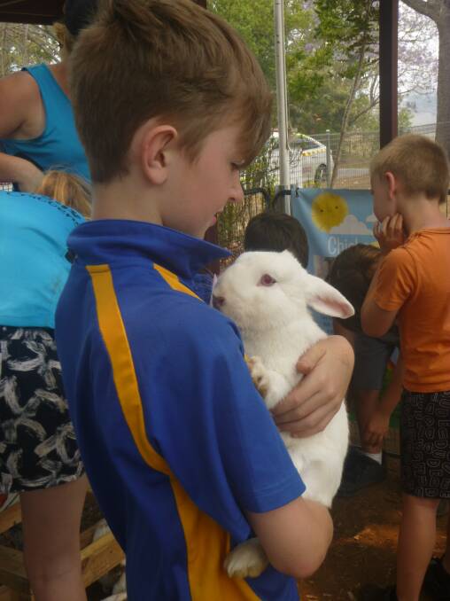 Quinten Welsh at the Petting Zoo