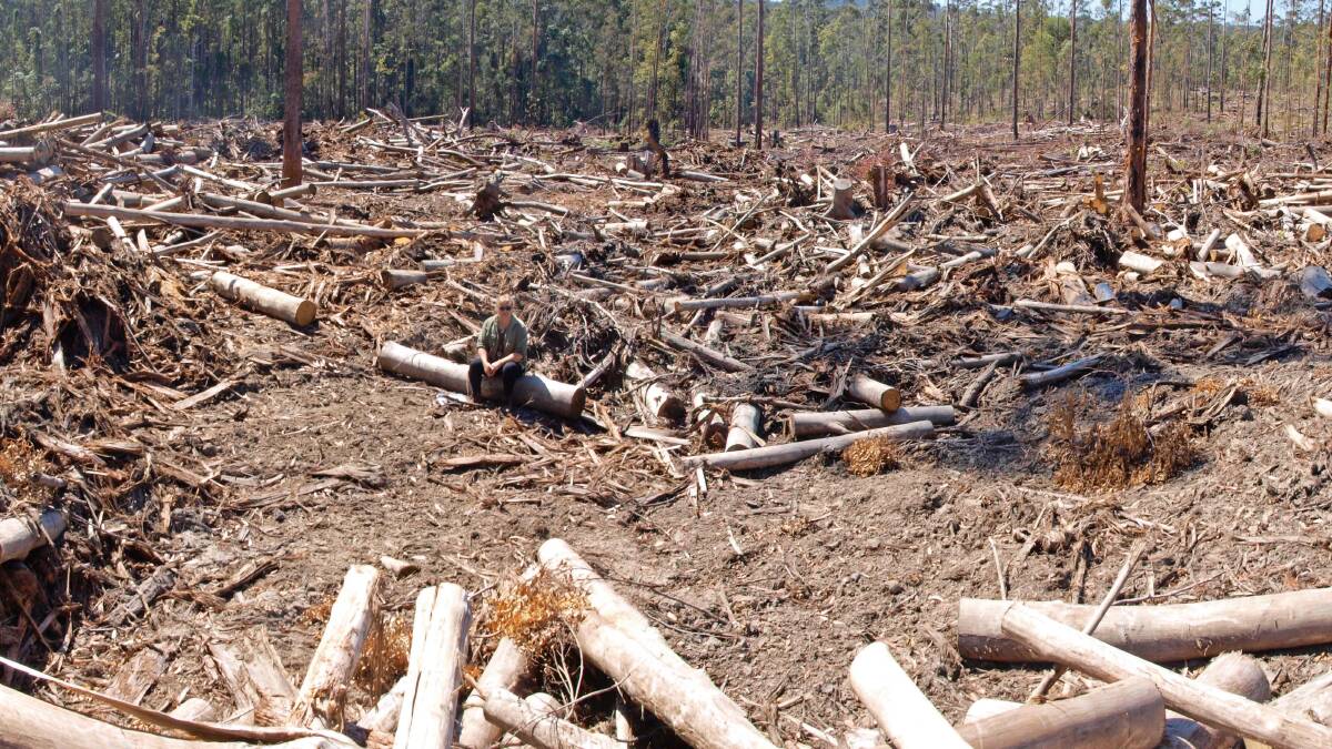 DEVASTATION: Paula Flack in the middle of a public native forest  that was clearfelled in Lorne SF west of Port Macquarie. NSW Government silvaculture manuals say there will be no such clearing, termed single-tree selection, of native forests 