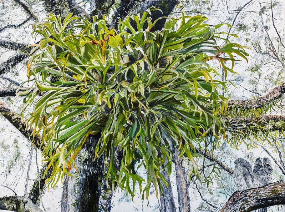 EPIPHYTE: Joy le Cerf's new book also explores bryophytes, fungus, lichens and mistletoe with gorgeous illustrations and is aimed at young readers